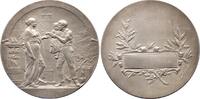 Kunstmedaillen Versilberte Bronzemedaille Dubois, Henri -