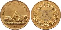 Sachsen-Dresden, Stadt Vergoldete Bronzemedaille -
