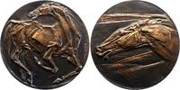 Kunstmedaillen Bronzemedaille Debus. M. -