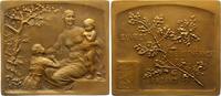 Kunstmedaillen Bronzeplakette Theunis, Pierre -