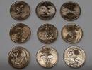 USA Dollar 2009-2017 D Native American Mint Set - 9 BU 1$ Coins in Littleton Tube -