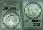 USA ASE Silver Eagle $1 30TH Anniversary, PCGS MS 69 C -