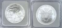 USA $1 Eagle American Silver In Hard Plastic Holder, 1st Day of Issue -
