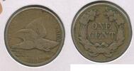 USA Cent Flying Eagle Penny 1c Philadelphia Mint - SR491 -