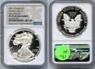 Anlagemünzen  2021-W American Silver Proof Eagle NGC PF70 Early Releases... 167,48 EUR  Excl. 19,71 EUR Verzending