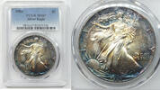 Bullion Dollar 1988 American Eagle 1 oz Silver  PCGS MS67 Toning Toned B... 430,05 EUR  Excl. Verzending
