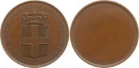 Italien, Königreich Einseitige Bronzemedaille Preismedaille (nicht verliehen) Landwirtschafts- und Wirtschaftsministerium -