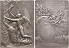 Frankreich, 3. Republik, Stadt Paris Versilberte Bronzeplakette v. Roty, auf die Weltausstellung und das neue Jahrhundert, feiner Jugendstil -