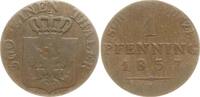 Brandenburg-Preußen Friedrich Wilhelm III., 1797 - 1840 Pfennig 1837 A Schön - sehr schön