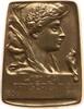 Kaiserreich Österreich, Stadt Wien Bronzeplakette von Rathausky, 50 Jahre Wiener Sängerbund, 50,5 mm x 38 mm -