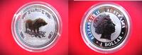 Australien 1 Dollar Silver ounce - Year of the pig - partially gilded -