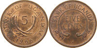 UGANDA 5 CENTS -