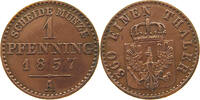 BRANDENBURG PREUßEN 1 PFENNIG Friedrich Wilhelm IV. (1840-1861) -