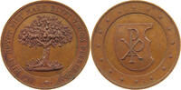 BELGIUM MEDAL Alphonse Vandenpeereboom -