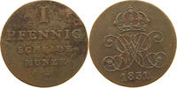 HANNOVER PFENNIG WILLIAM IV. (1830-1837) SELTEN -