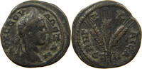 ROME PROVINCIAL CAPPADOCIA AE Severus Alexander, 222-235 CAPPADOCIA CORN EARS CAESAREA -
