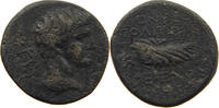 ROME PROVINCIAL AE -