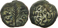 JUDAEA AE PALM LEAF -
