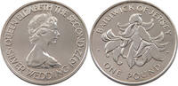 JERSEY POUND -