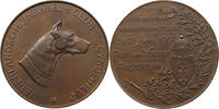 Niederlande Medaille Hunderausstellung, Begeer 1907, Amsterdam -