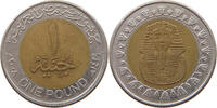 EGYPT POUND -