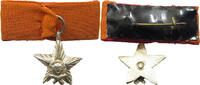 USSR BADGE -