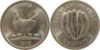 TONGA 5 SENITI -