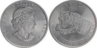 Kanada 5 Dollars Grizzly Bear -