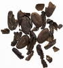 Nicaragua, Maya Kakaobohnen Naturalgeld der Maya -
