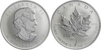 Kanada 5 Dollar Elisabeth II. (1952-2022) – 1 oz Maple Leaf - Brandenburger Tor-Privy Mark -