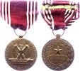 USA Treuemedaille Treuemedaille am Band -