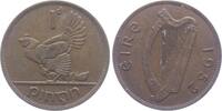 Irland 1 Pingin Auerhahn - Vogel - Tiere -