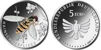 Deutschland 5 Euro Hainschwebfliege - Serie Wunderwelt Insekten -
