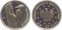 Deutschland 20 Euro Schwarzspecht -