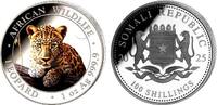 Somalia 100 Shilling - farbig Leopard - farbig - 1 Silberunze -