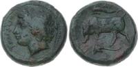 AE  317-289  v. Chr. Sicilia Agathokles 317-289 v. Chr.. Hübsche grünbraune Patina. Sehr schön