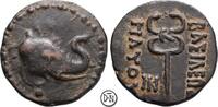 Indo-Skythen: Maues (125-85) Bronze Taxila, Elefantenkopf / Kerykeion, interessant und nicht häufig, -