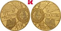 FRANKREICH 200 Euro 2013. Auflage: 500 Exemplare. 5. Republik seit 1958.... 4495,00 EUR  Excl. 9,90 EUR Verzending