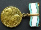 Russland Mutterschaftsmedaille 2. Klasse -