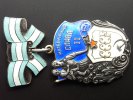 Russland Orden des Mutterruhms 2. Klasse -