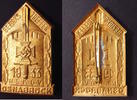 Drittes Reich Osnabrück Anstecker Bezirkstreffen NSKOV Rar 30x52mm -