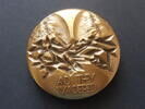 Frankreich Gussmedaille AND THEY WANDERED Ovale Medaille, 165gramm -