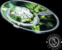 Cameroon 500 CFA Francs 500 CFA Francs – Butterflies – Parnassius Apollo -