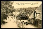 AK Bad Harzburg LK Goslar Herzogl. braunschw. Molkenhaus Paul Reuß 1915 gebraucht -