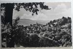 AK Lindenfels Höhenluftkurort - Die Perle des Oberwaldes 1954 gebraucht -