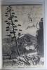AK Hyères Alés en Fleurs 1904 gebraucht -