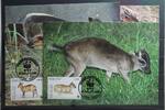 Togo Togo 2456-2459 gestempelt als FDC MiNr. 2456-2459 gestempelt als FDC -