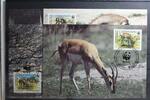 Somalia Somalia 436-439 gestempelt als FDC MiNr. 436-439 gestempelt als FDC -