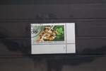 BRD BRD 1254 gestempelt als Eckrand mit Formnummer 1 MiNr. 1254 gestempelt als Eckrand mit Formnummer 1 -