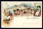 AK Ribeauvillé (Rappotsweiler), Elsaß St. Ulrichsburg, Panorama 1899 gebraucht -